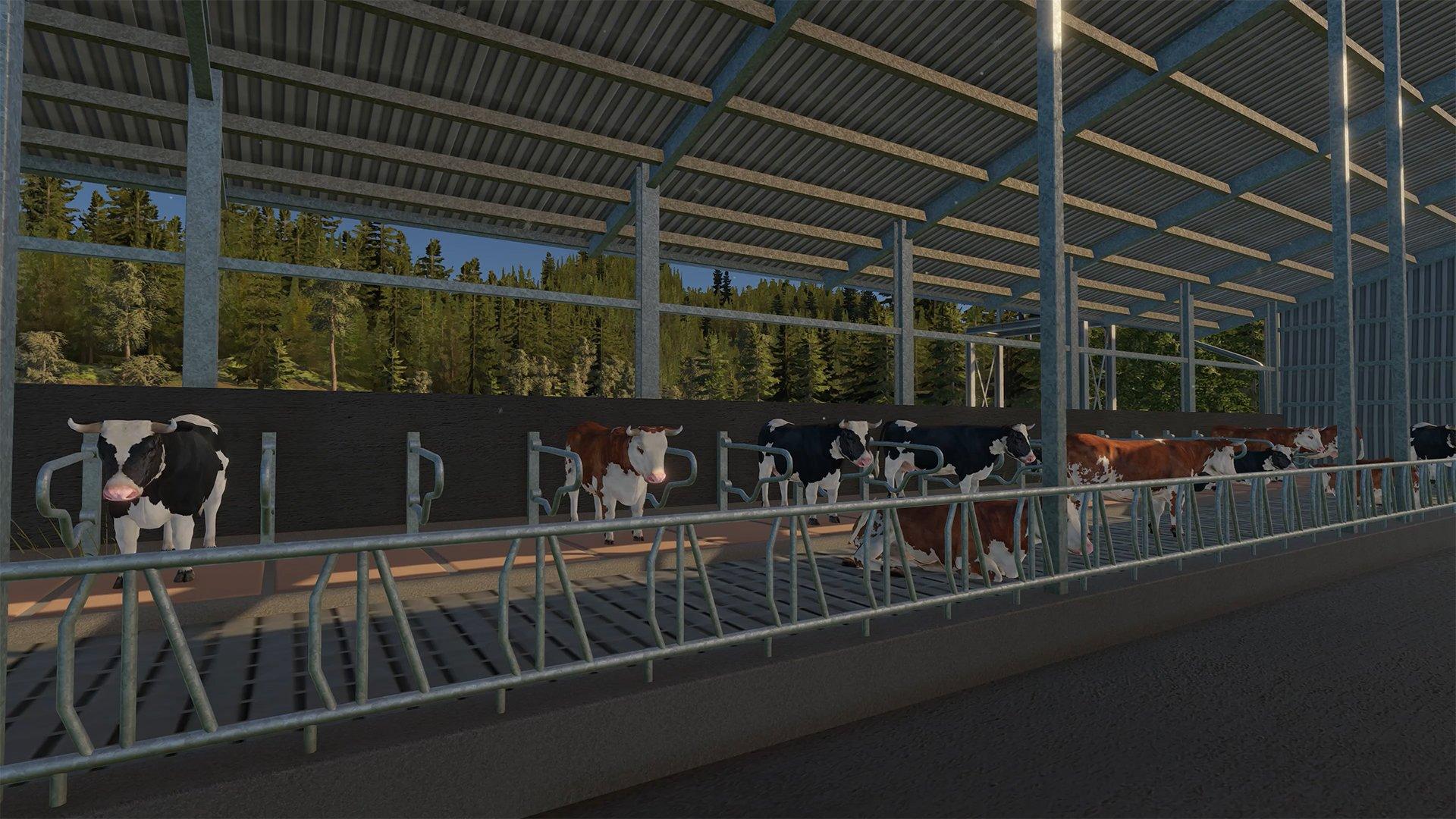 Real Farm Premium Edition &lt;XBX&gt;