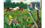 Buffalo Games Country Meadow 1000-pc Jigsaw Puzzle