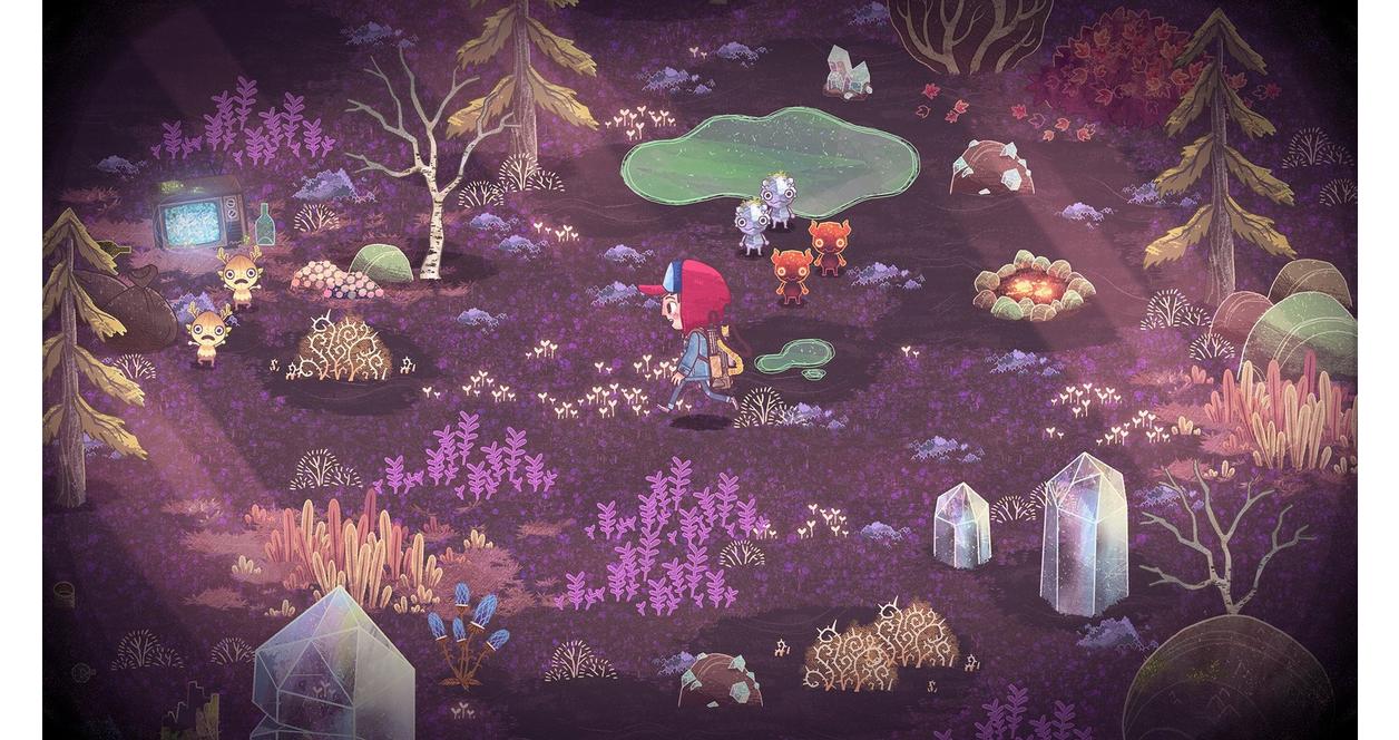 The Wild at Heart - Nintendo Switch | Humble Games | GameStop
