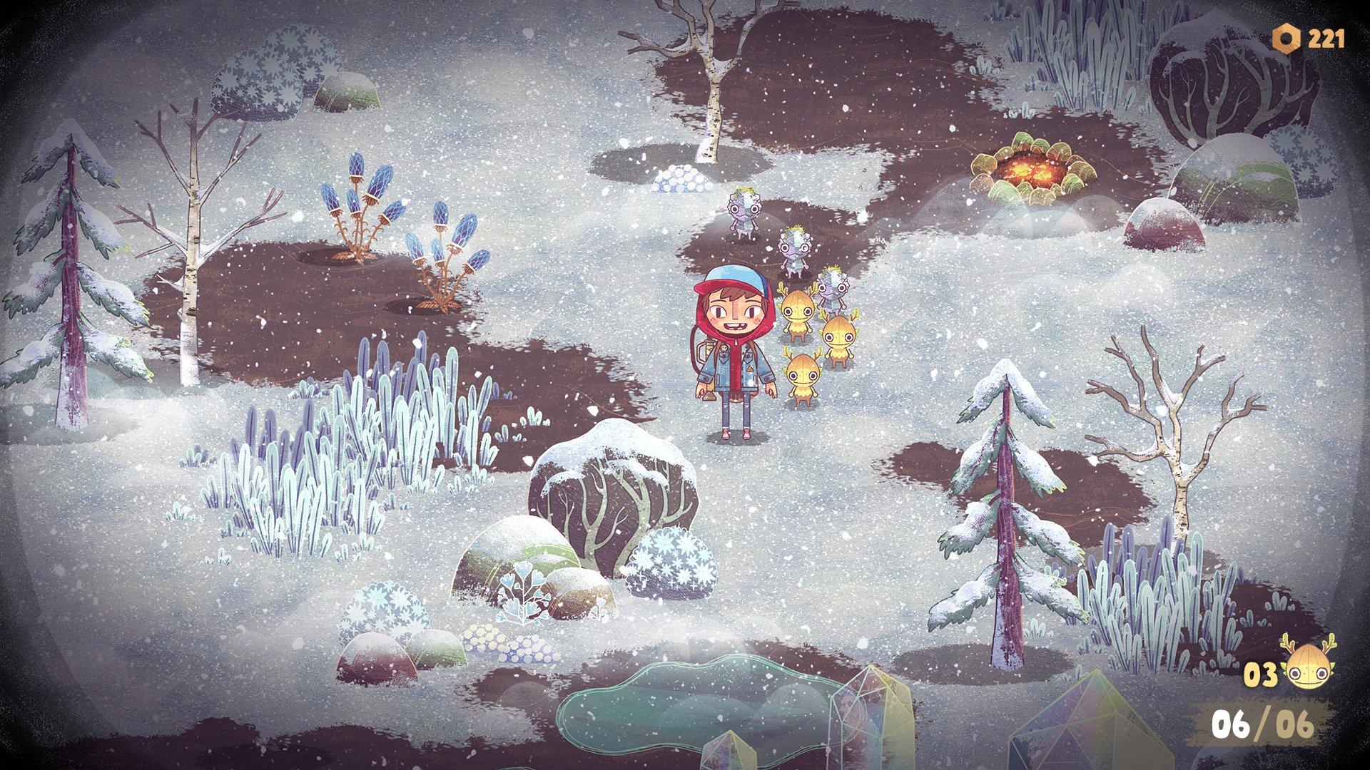 The Wild at Heart - Nintendo Switch