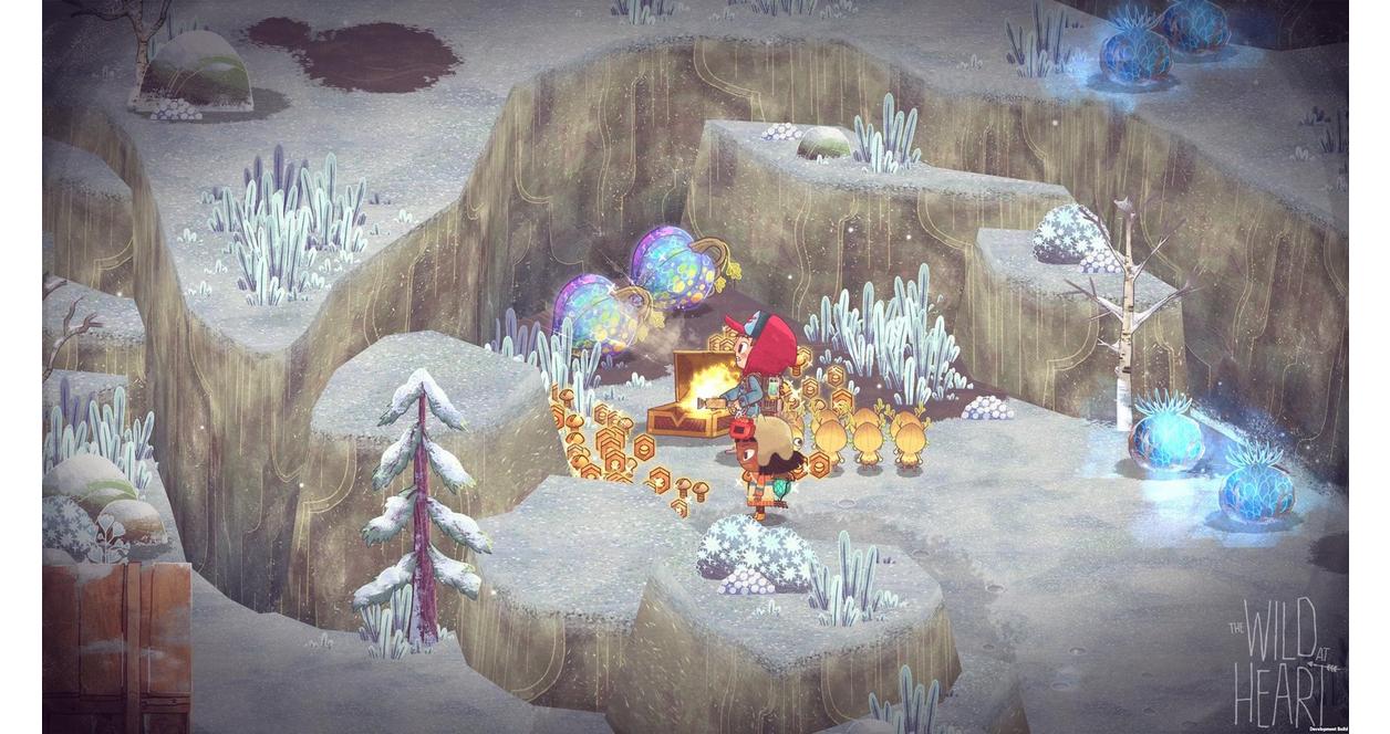 The Wild at Heart Switch ザ・ワイルド・アット・ハート Amazon.com: The Wild at Heart - Nintendo Switch : Everything