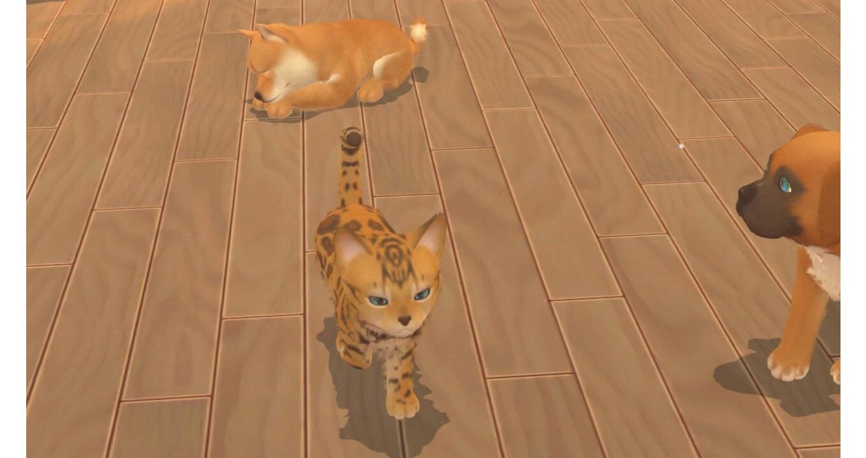 My Universe: Puppies and Kittens Microids GameStop