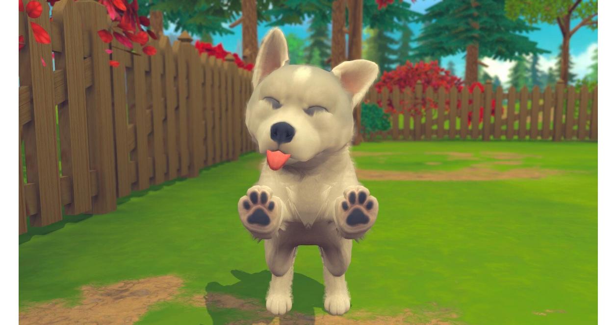 My Universe: Puppies and Kittens - PlayStation 4