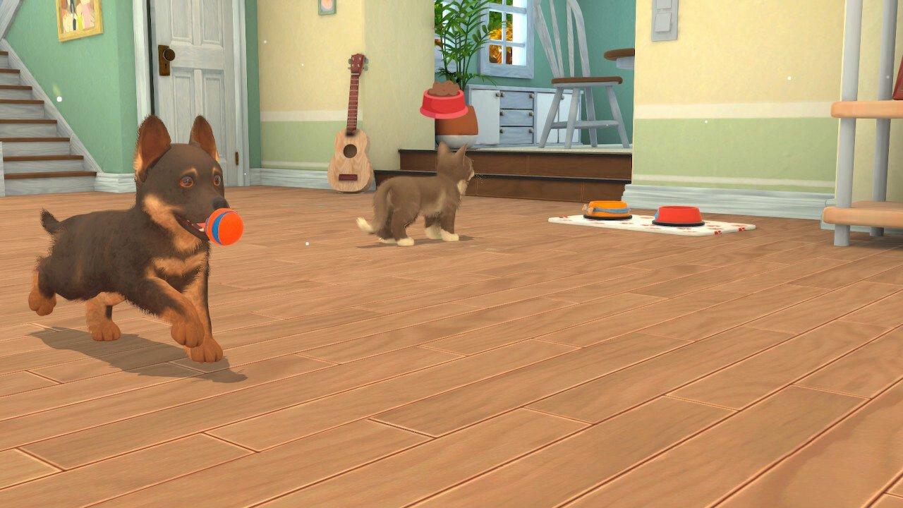 My Universe: Pet Clinic Cats and Dogs - PlayStation 4