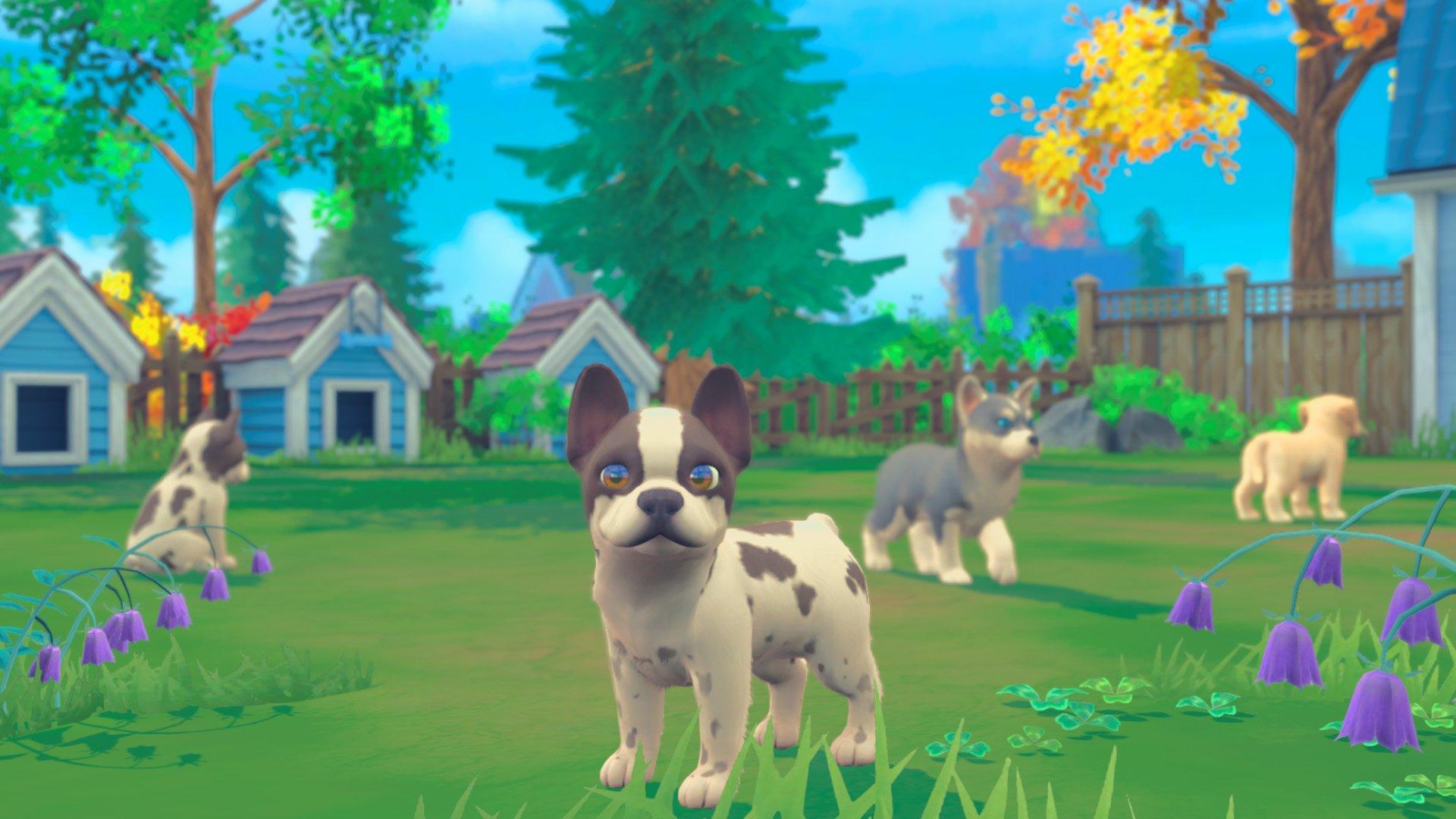 My Universe: Pet Clinic Cats and Dogs - PlayStation 4