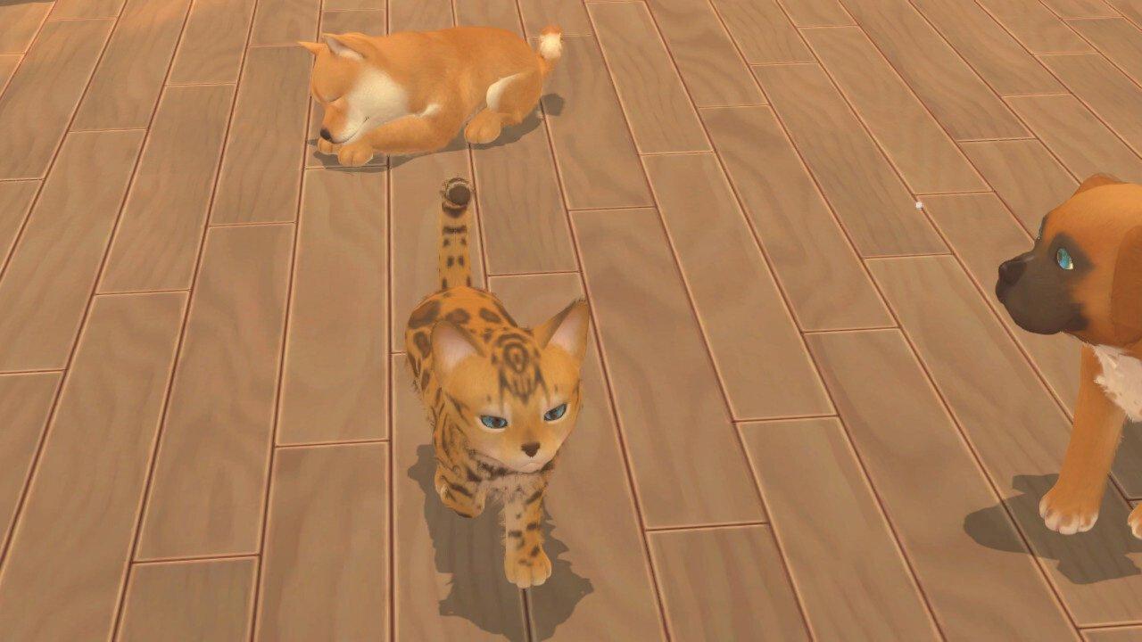 Little Friends: Dogs & Cats/Nintendo Switch/eShop Download