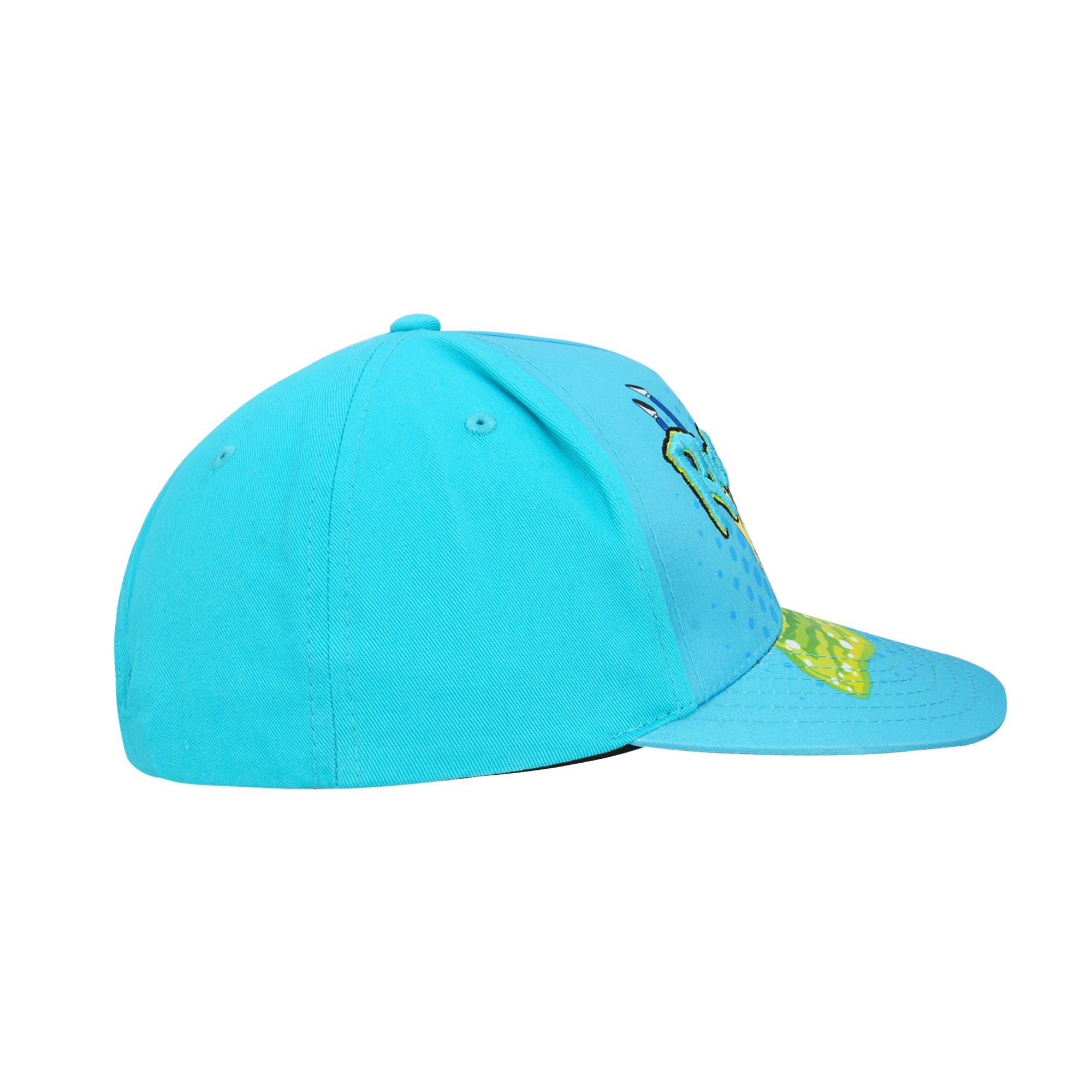 Rick and Morty Baseball Hat