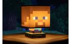 Paladone Minecraft Steve Icon 10-in Lamp