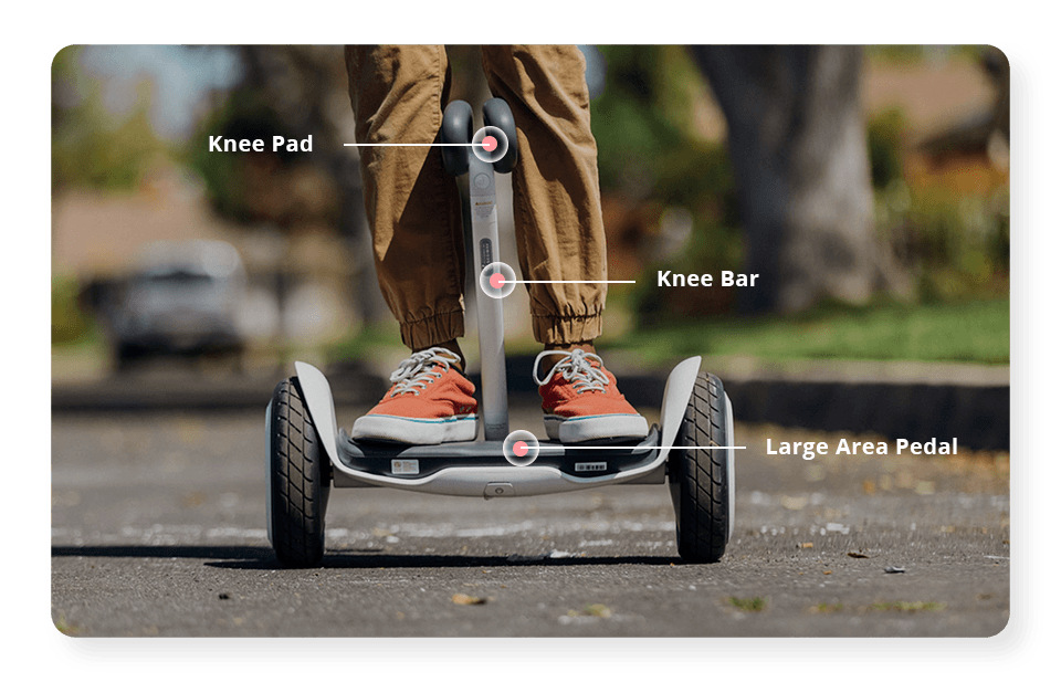 Segway Ninebot S Review