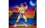 Hasbro Power Rangers x Street Fighter Lightning Collection Morphed Ryu Crimson Hawk Ranger 6-in Action Figure