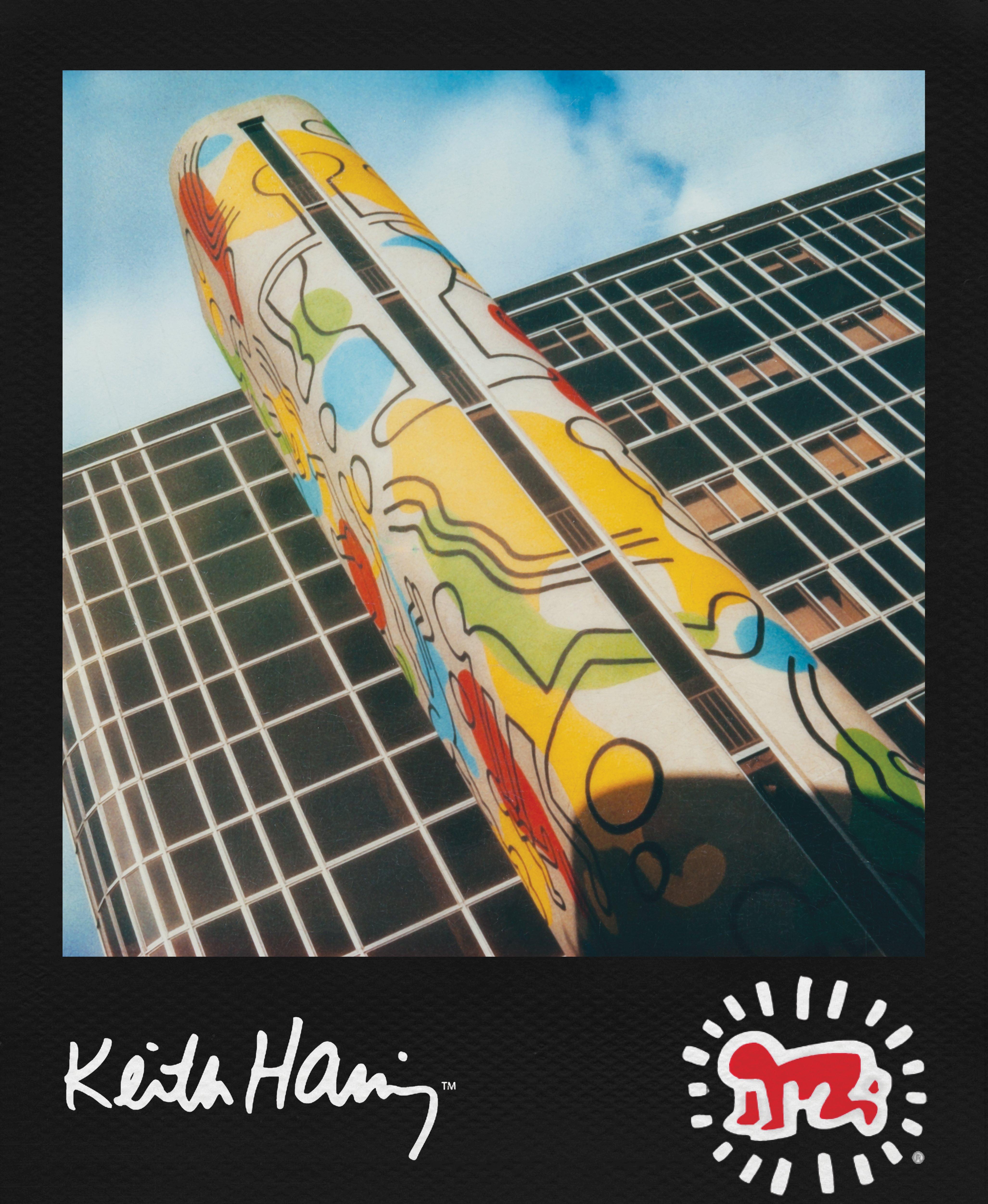 list item 4 of 8 Polaroid Color i-Type Film - Keith Haring Edition for Polaroid i-Type Cameras