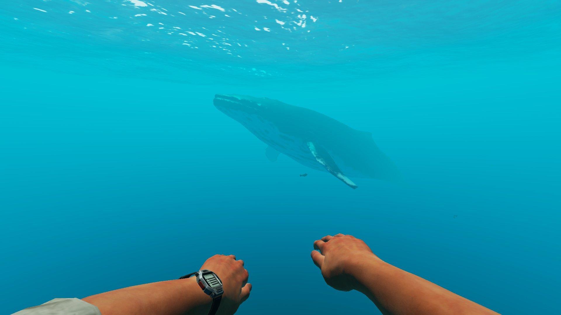 One To Watch - Stranded Deep - Geek Sleep Rinse Repeat