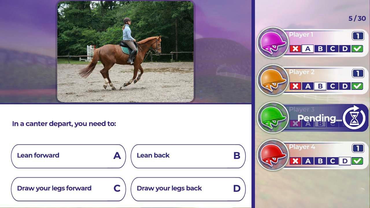Equestrian Training Nintendo Switch