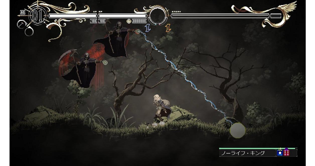 Record of Lodoss War: Deedlit in Wonder Labyrinth - Nintendo Switch