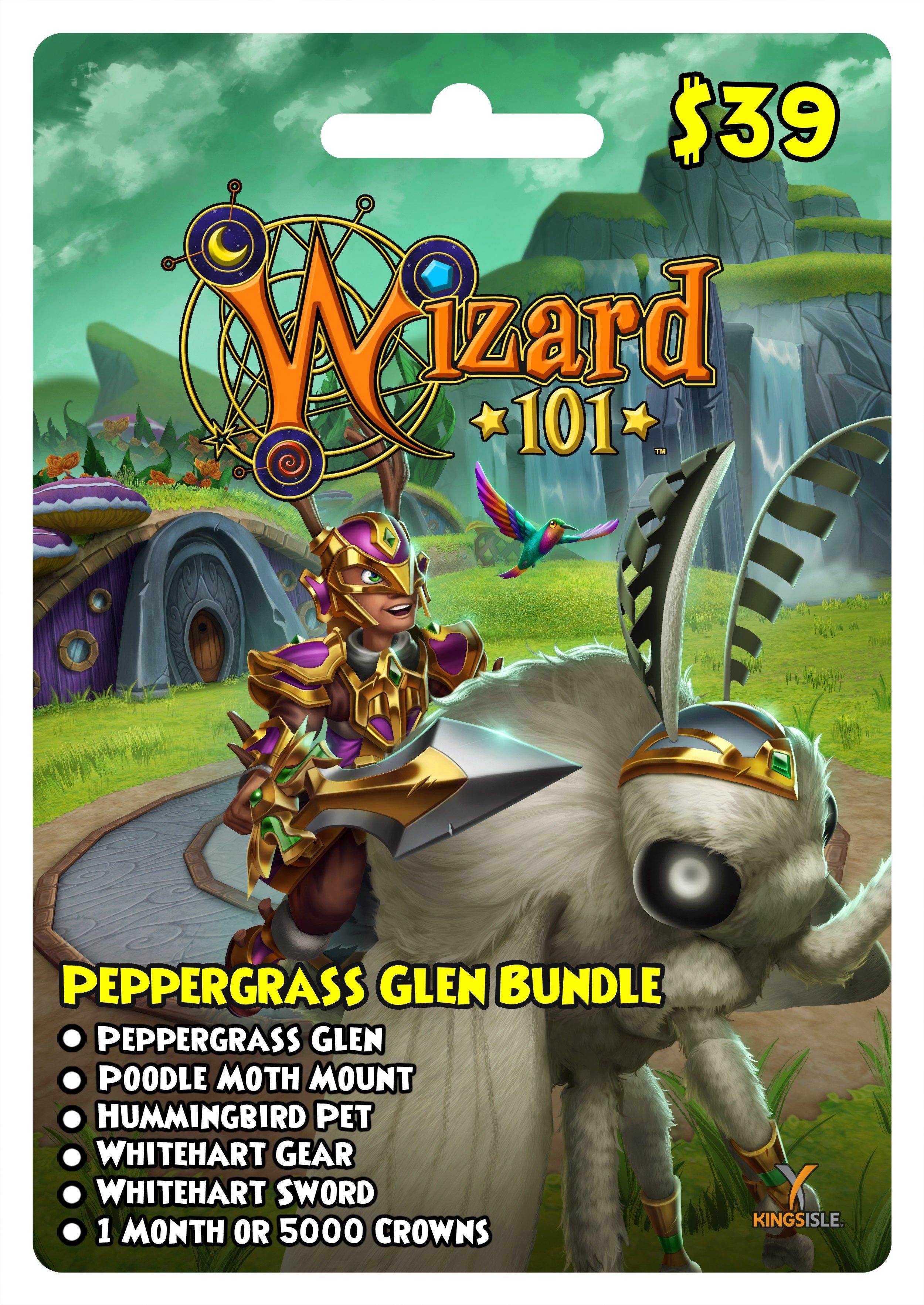 Wizard101: What is it?