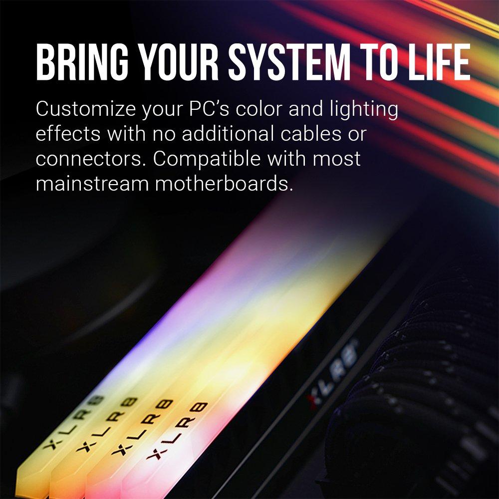 PNY XLR8 Gaming REV RGB 16GB (2x8GB) DDR4 3200MHz CL16 Dual Channel Memory Upgrade MD16GK2D4320016X2RGB
