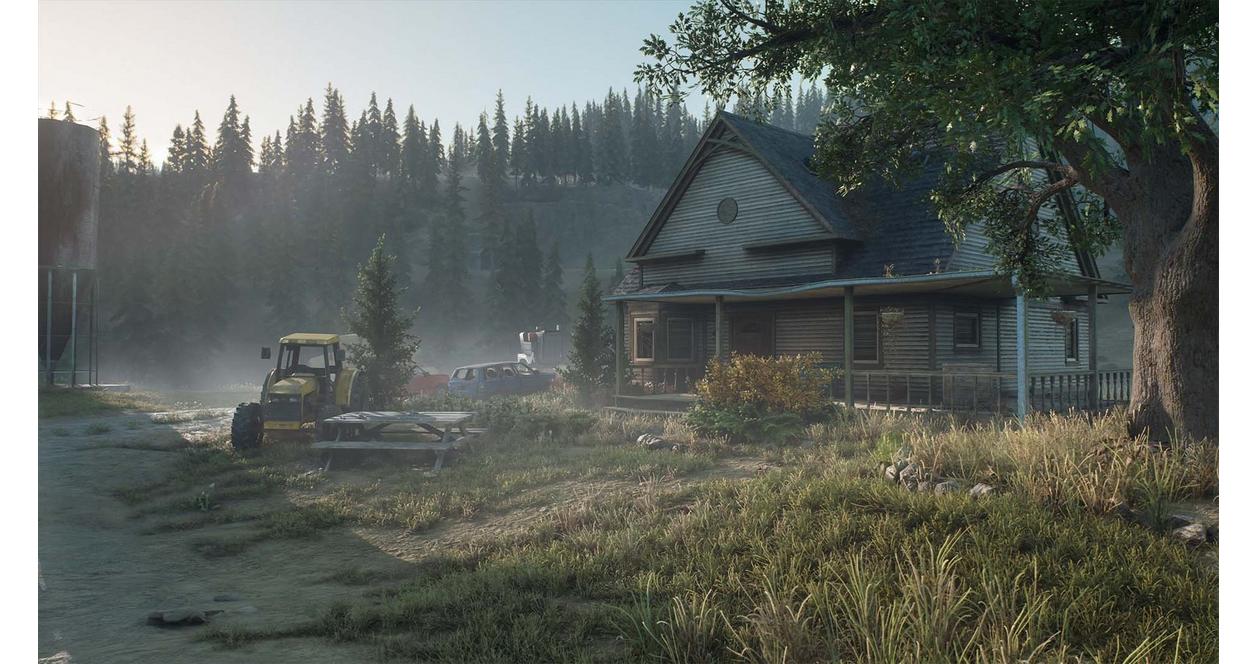 Days Gone - PC Steam