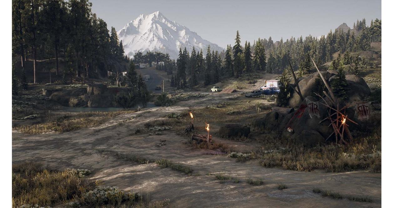 Days Gone - PC Steam