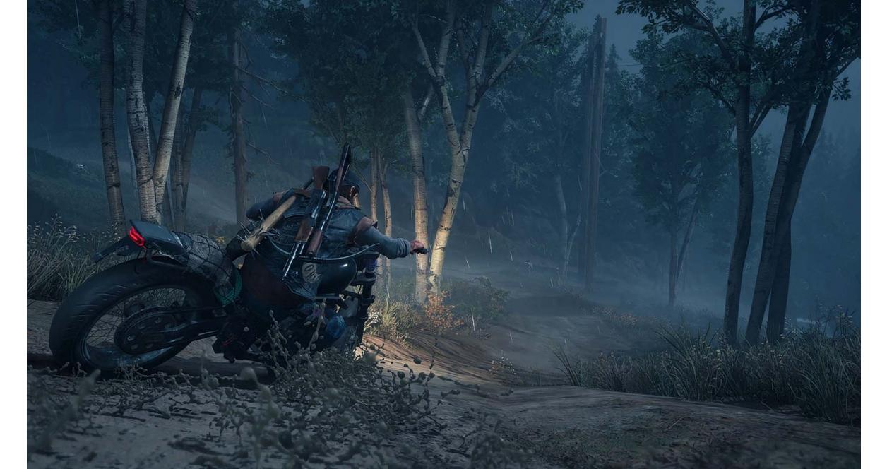 Days Gone - PC Steam
