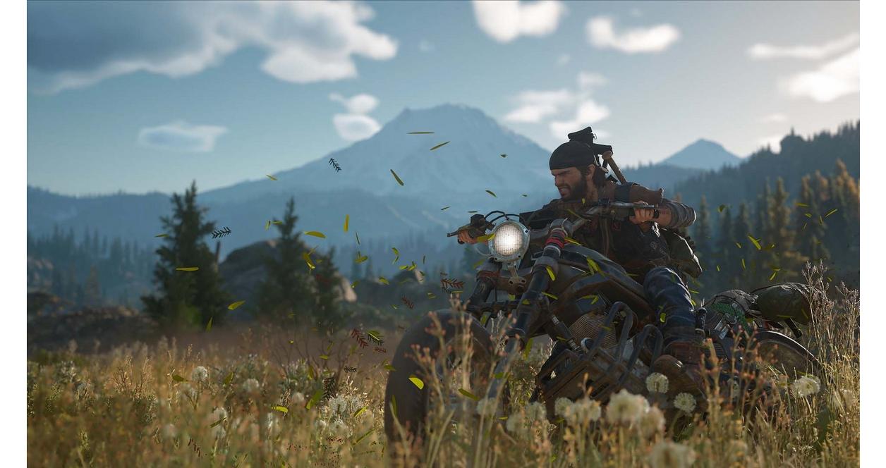 Days Gone - PC Steam