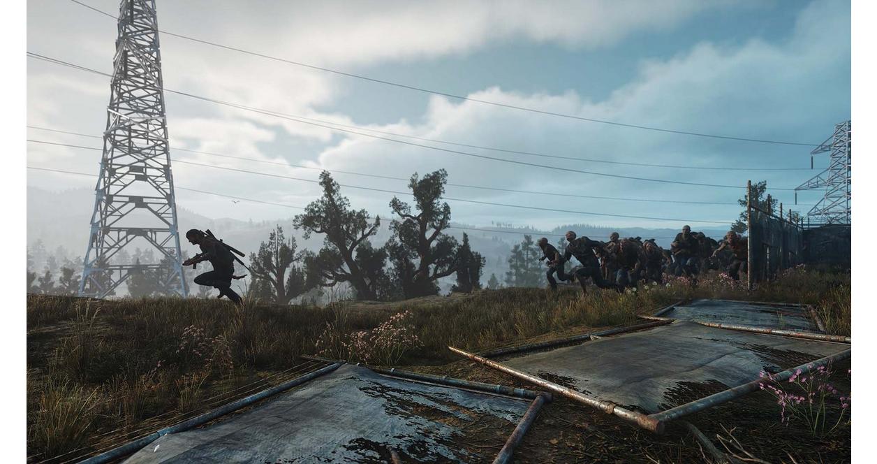 Days Gone - PC Steam