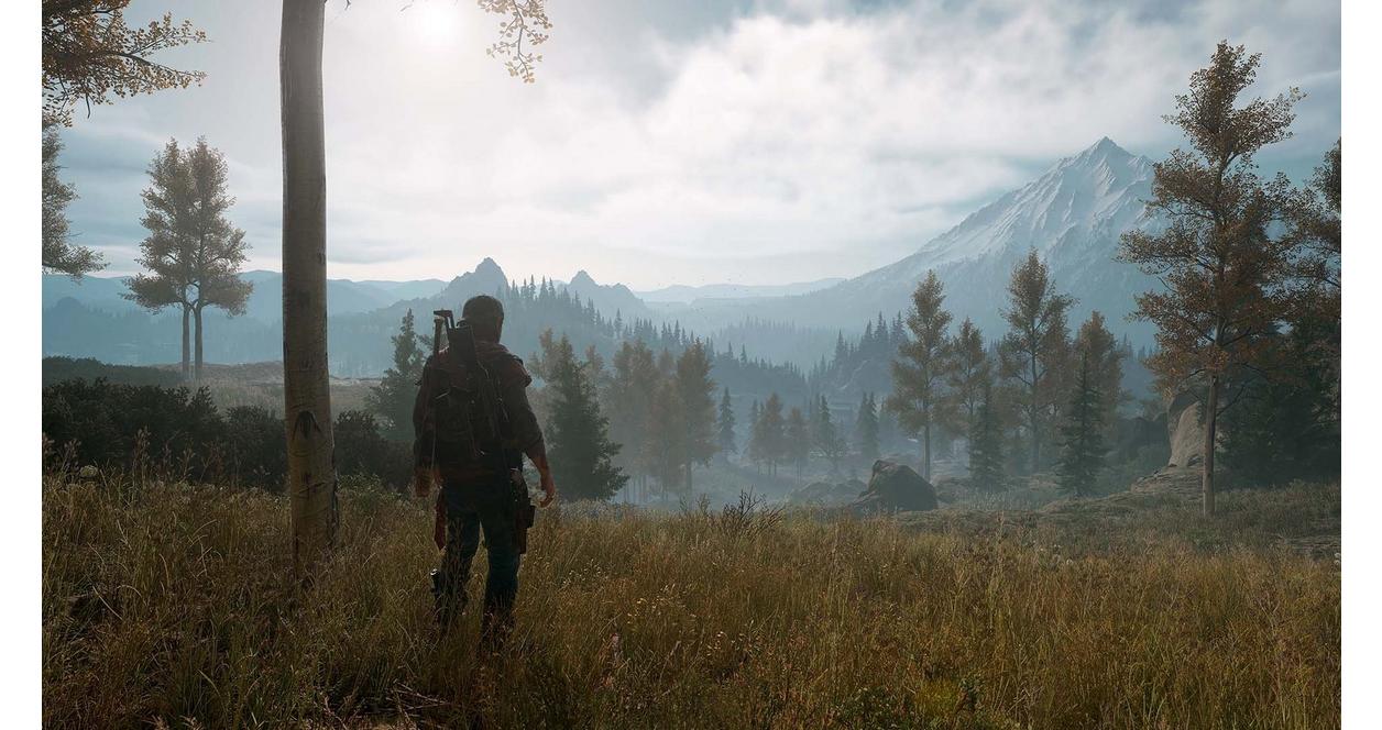 Days Gone - PC Steam