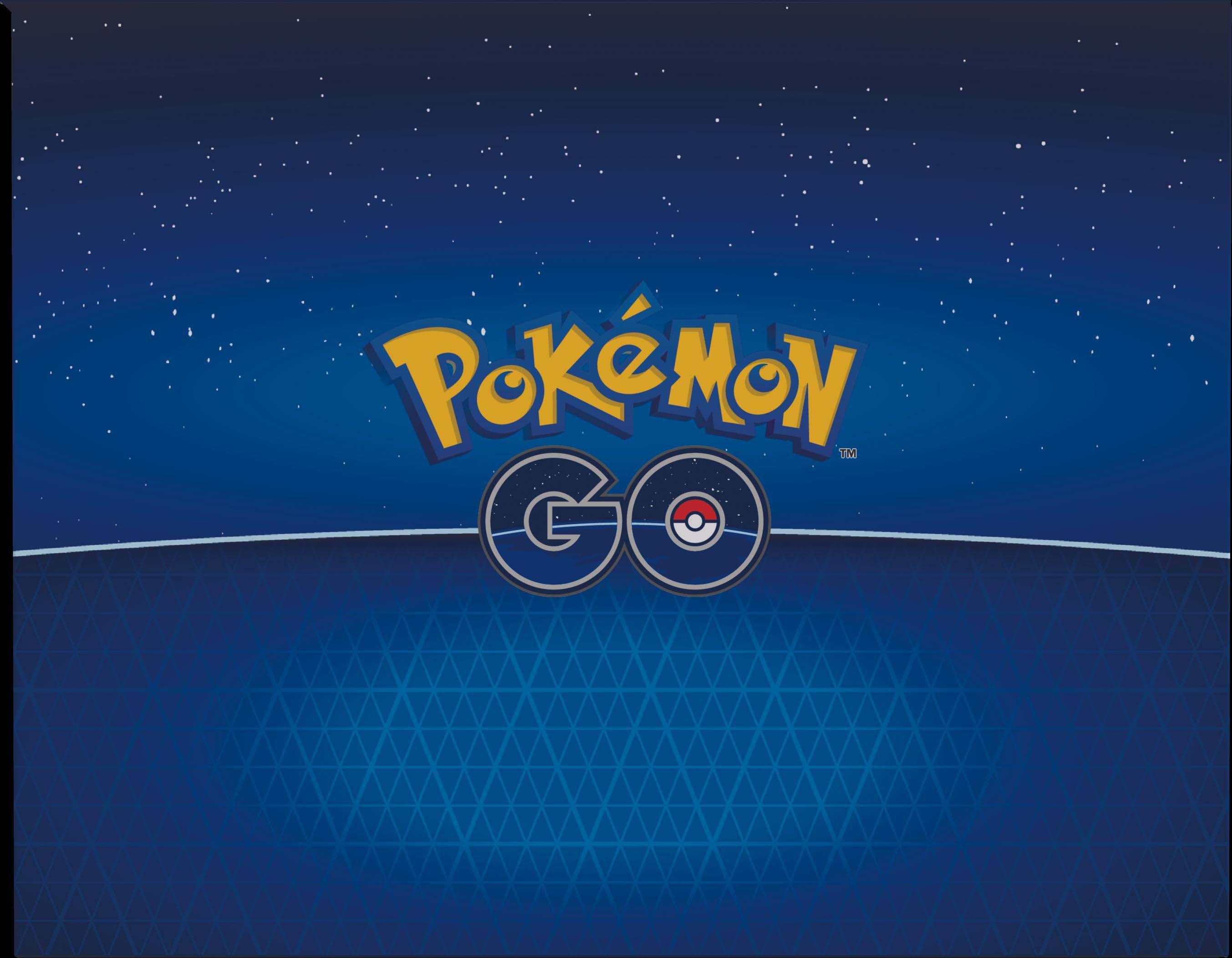 Pokémon GO: Premiere Deck Holder Collection (Dragonite) – Tabletop Village  LLC