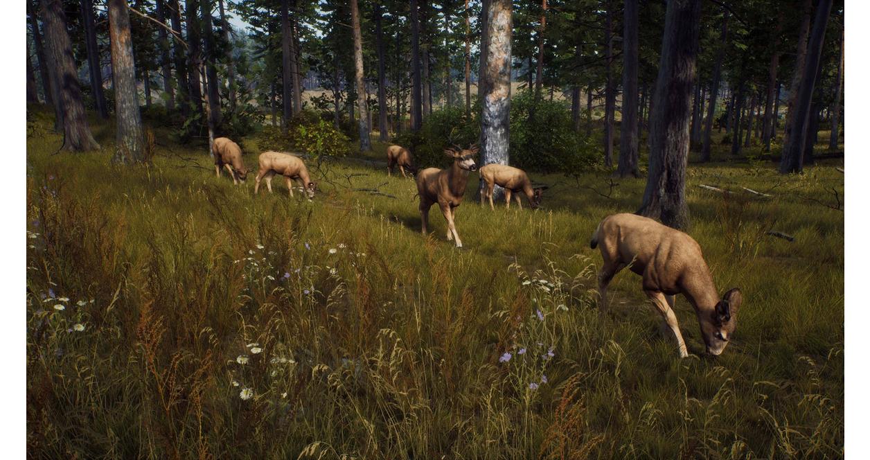 Way of The Hunter - PlayStation 5