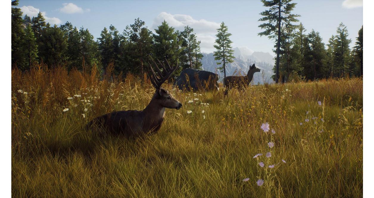 Way of The Hunter - PlayStation 5