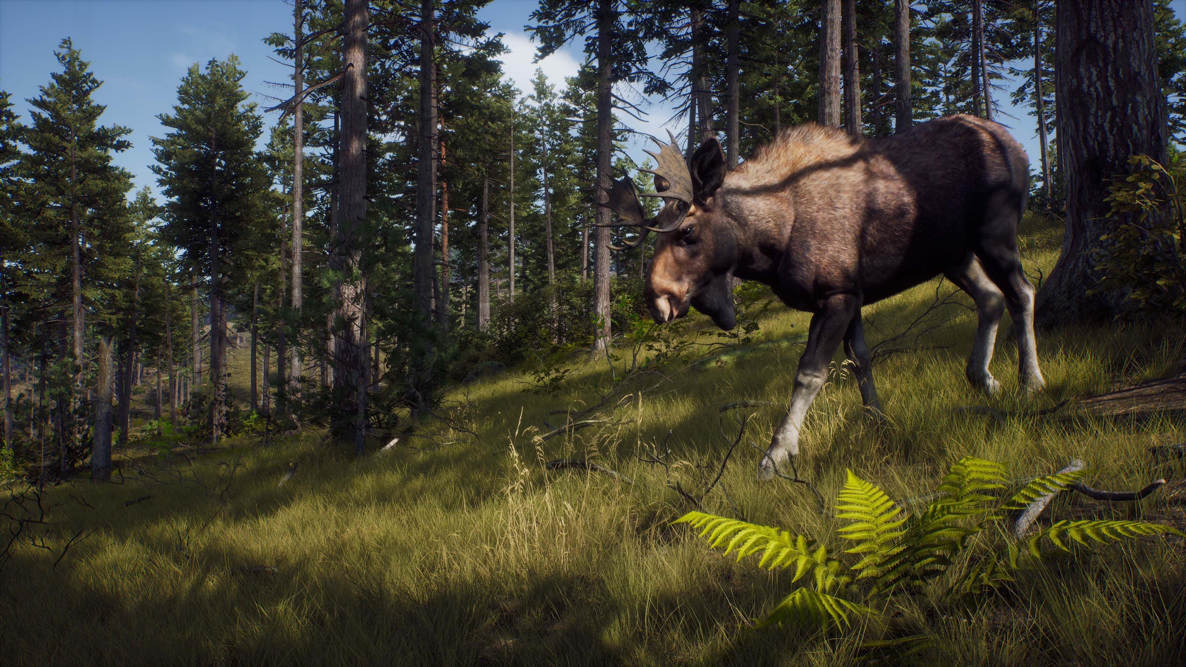 Way of the Hunter PC Steam
