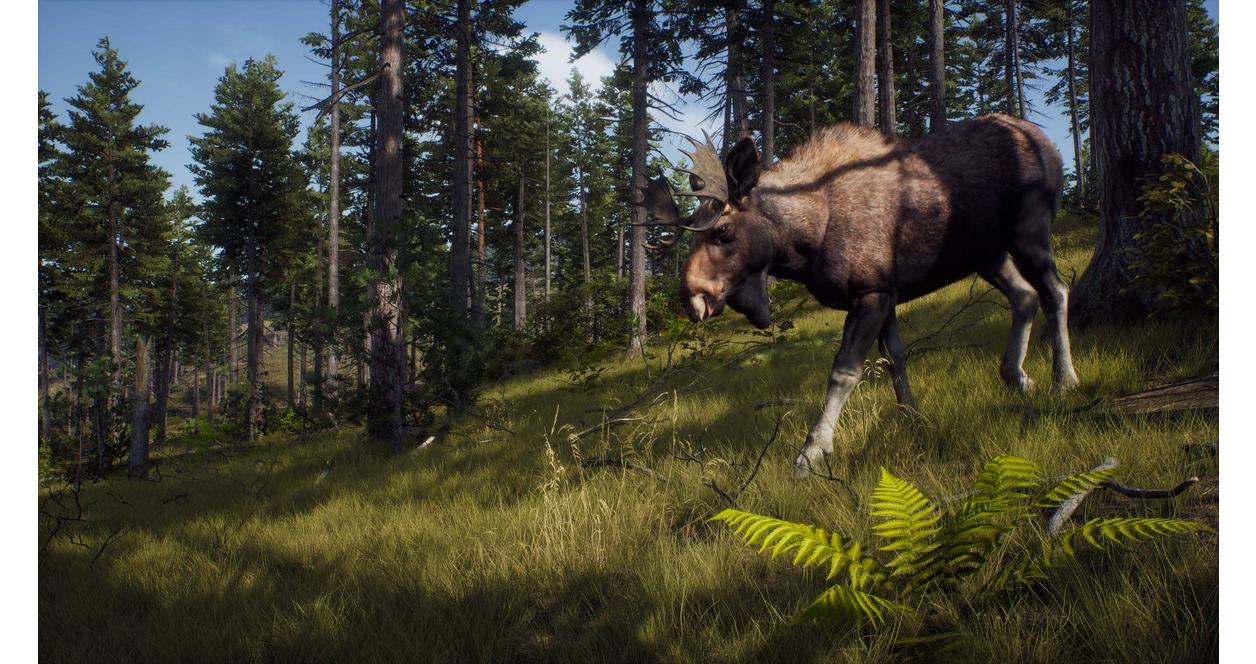 Way of The Hunter - PlayStation 5