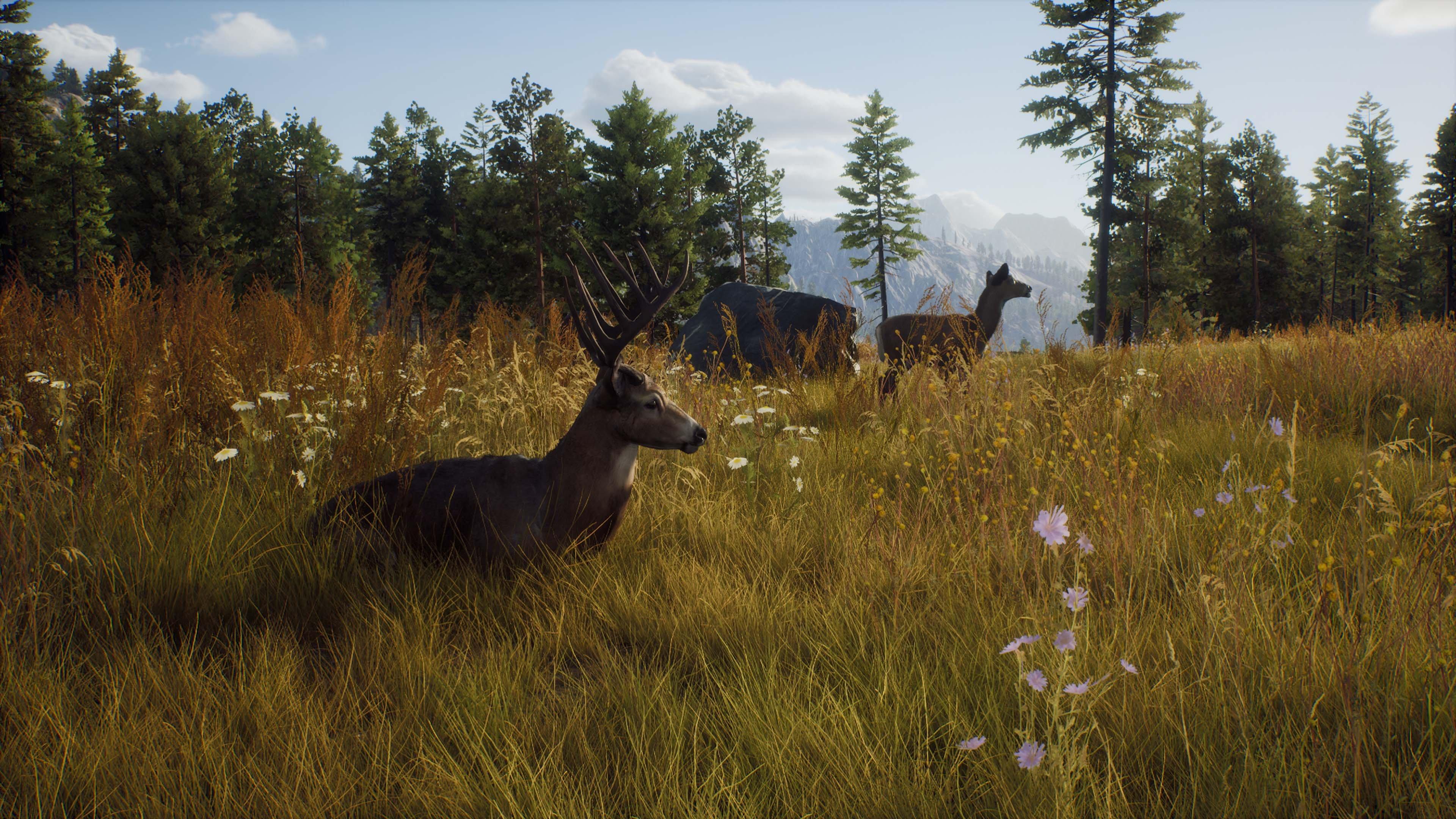 Way of the Hunter – Official Game Site