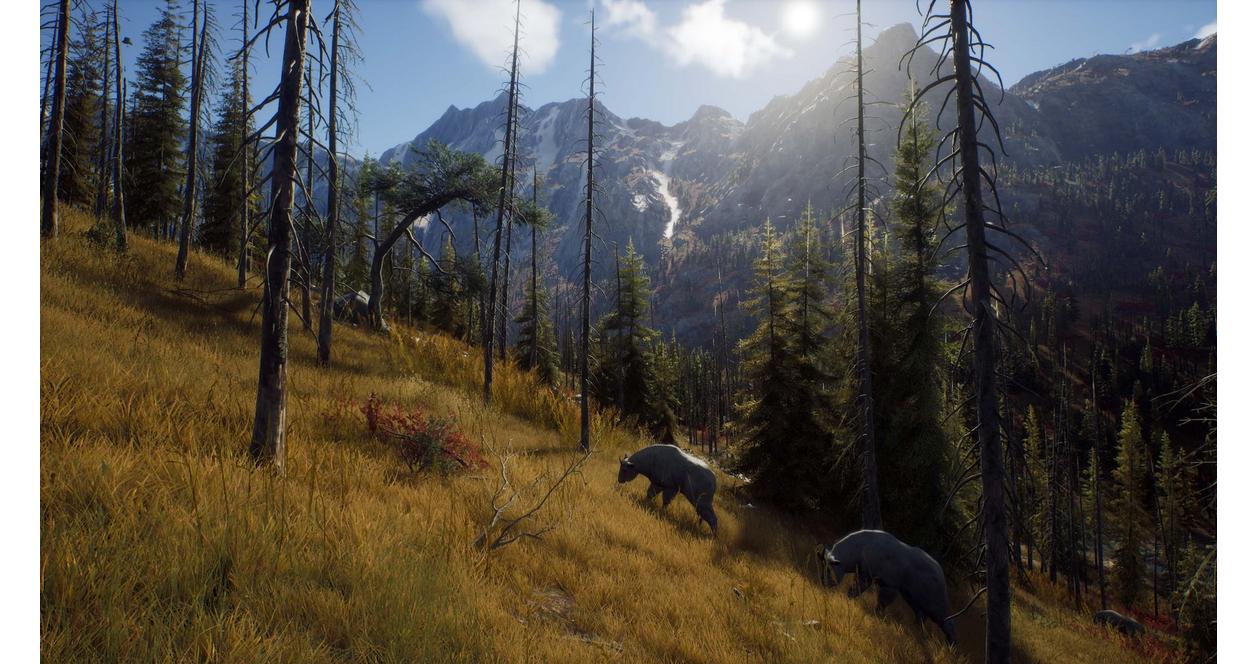 Way of the Hunter Elite Edition - PC Steam