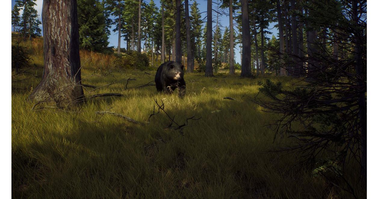 Way of the Hunter Elite Edition - PC Steam