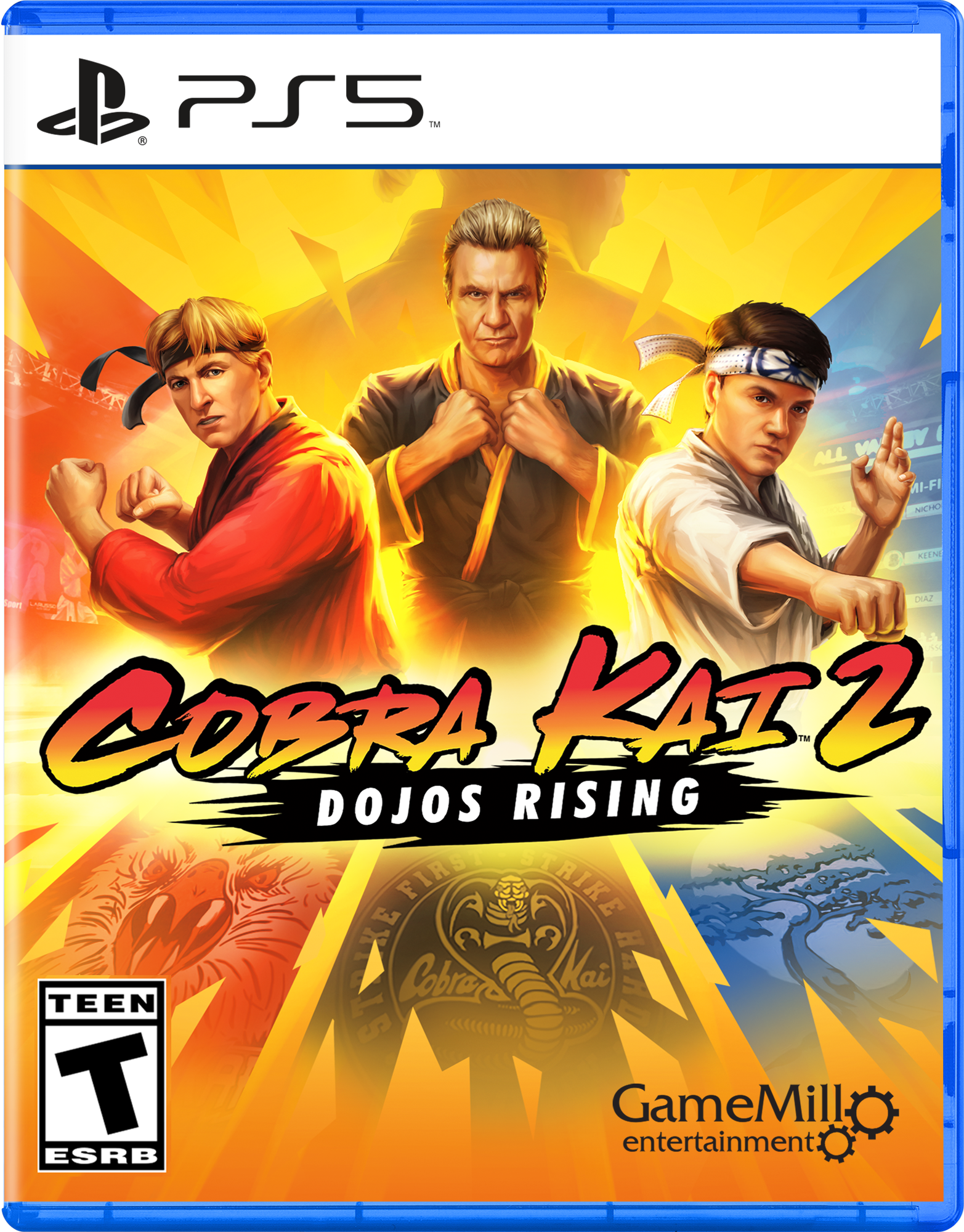 Cobra Kai 2 Dojos Rising