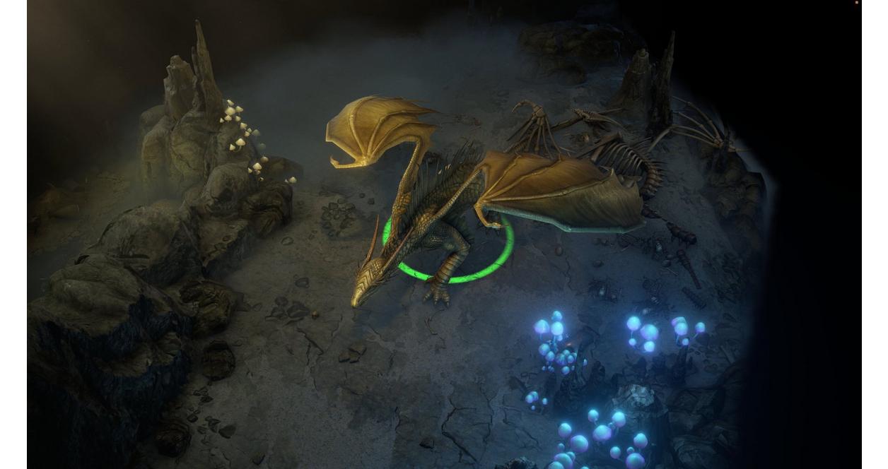Pathfinder: Wrath of the Righteousness - Xbox One