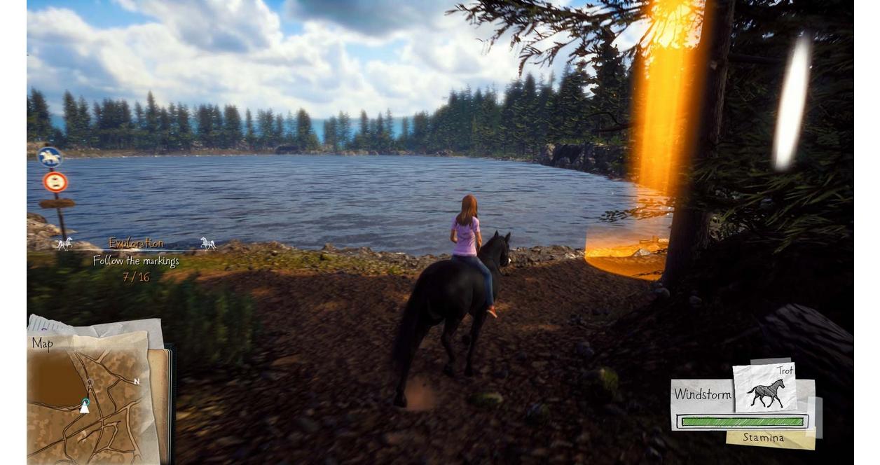 DVD Windstorm: Start Of A Great Friendship - Film Di Avventura Con Cavalli, Per Tutta La Famiglia - Foto 13