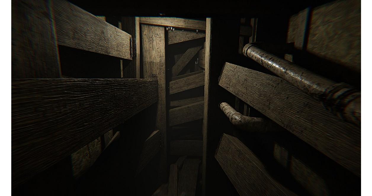 MADiSON: The Possessed Edition - PlayStation 5