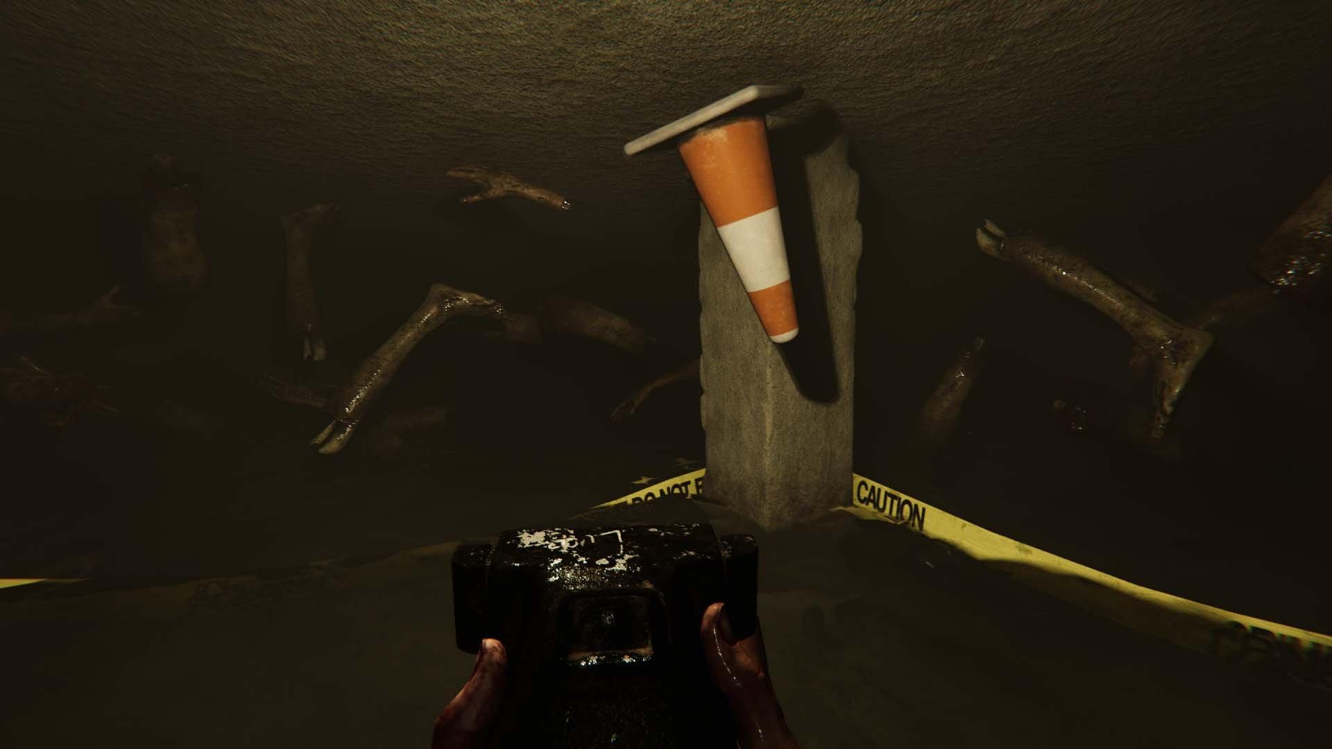 MADiSON The Possessed Edition - Nintendo Switch