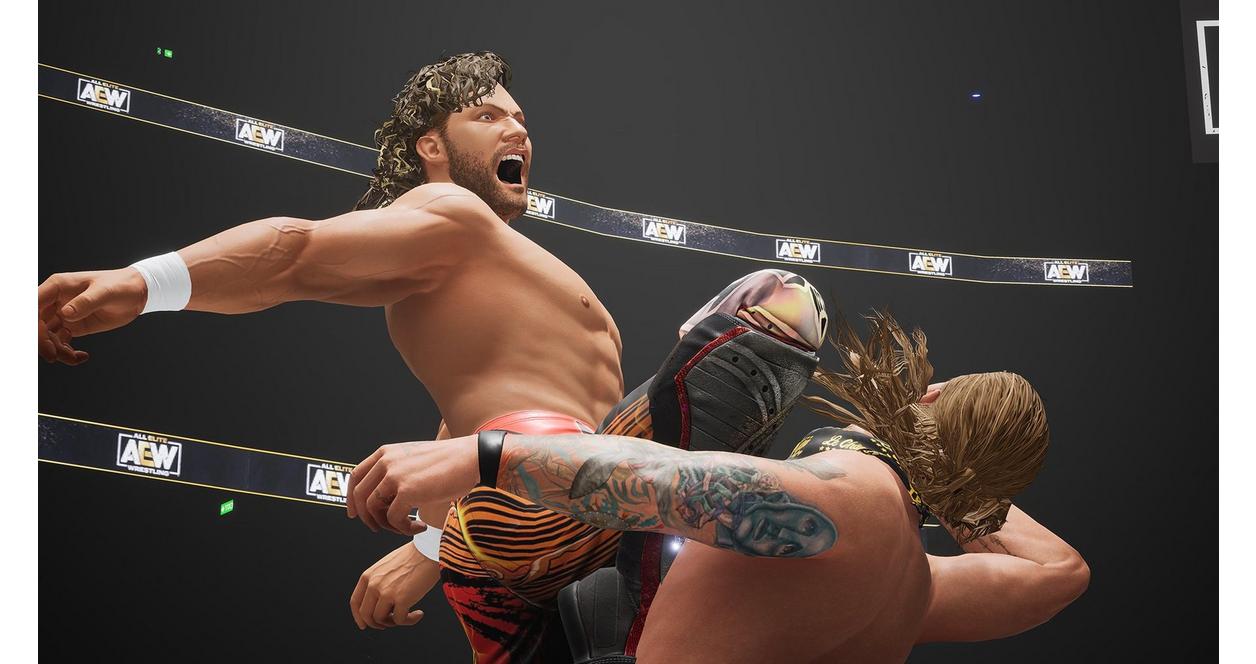 AEW Fight Forever - PlayStation 4 | THQ Nordic | GameStop