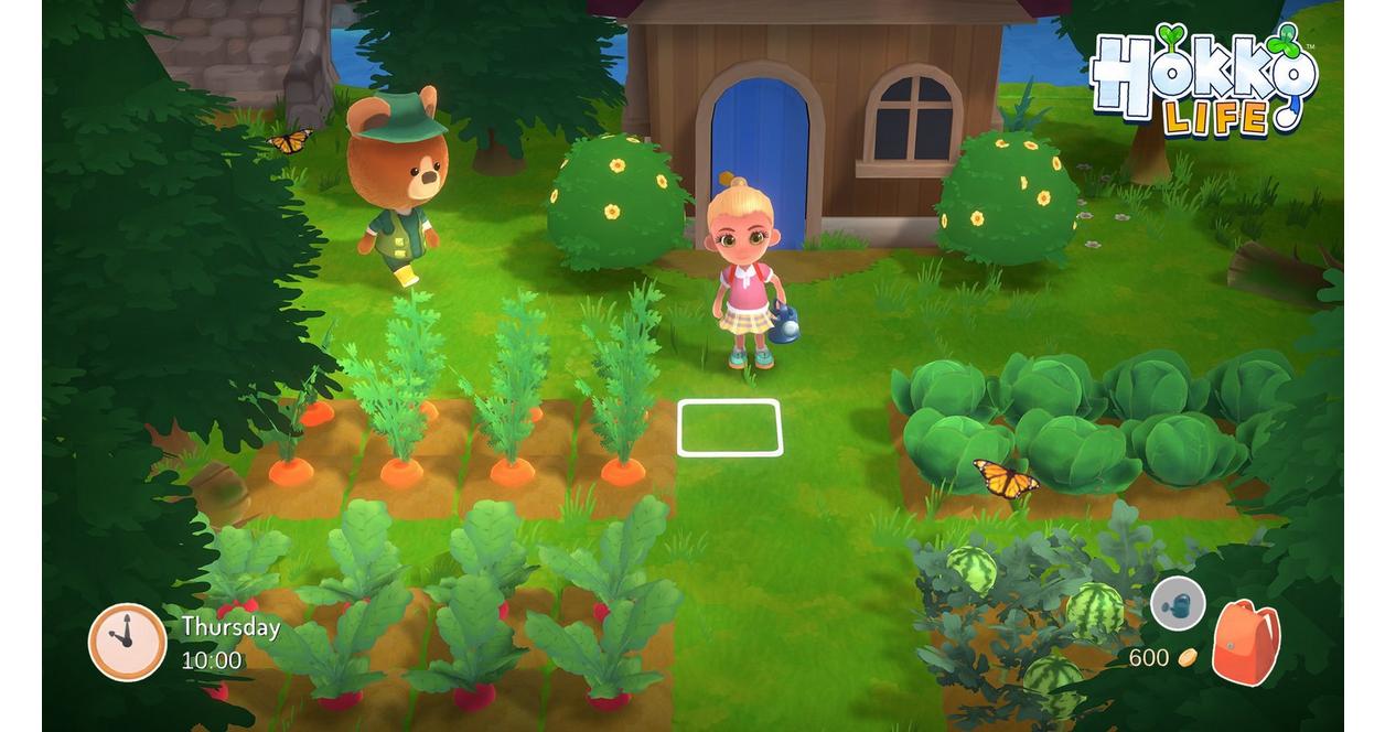 Hokko Life - PlayStation 4