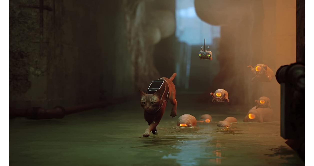 Stray - PS4 | PlayStation 4 | GameStop