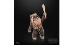Hasbro Star Wars The Black Series Star Wars: Return of the Jedi Wicket 6-in Action Figure