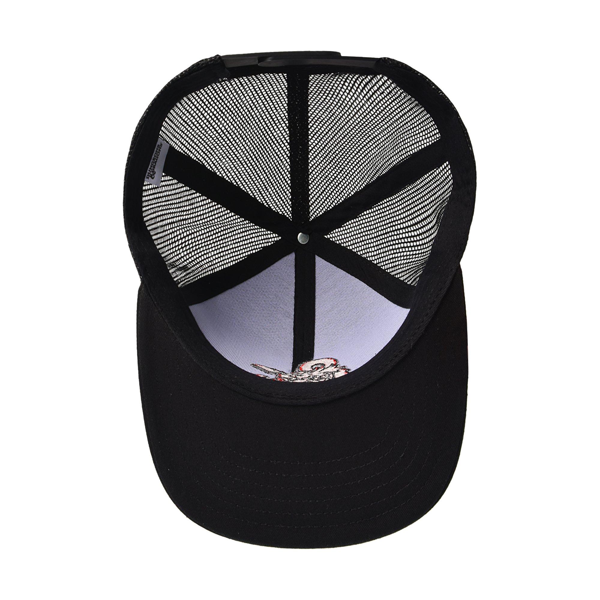 Dungeons and Dragons D20 Dice Skater Snapback Hat