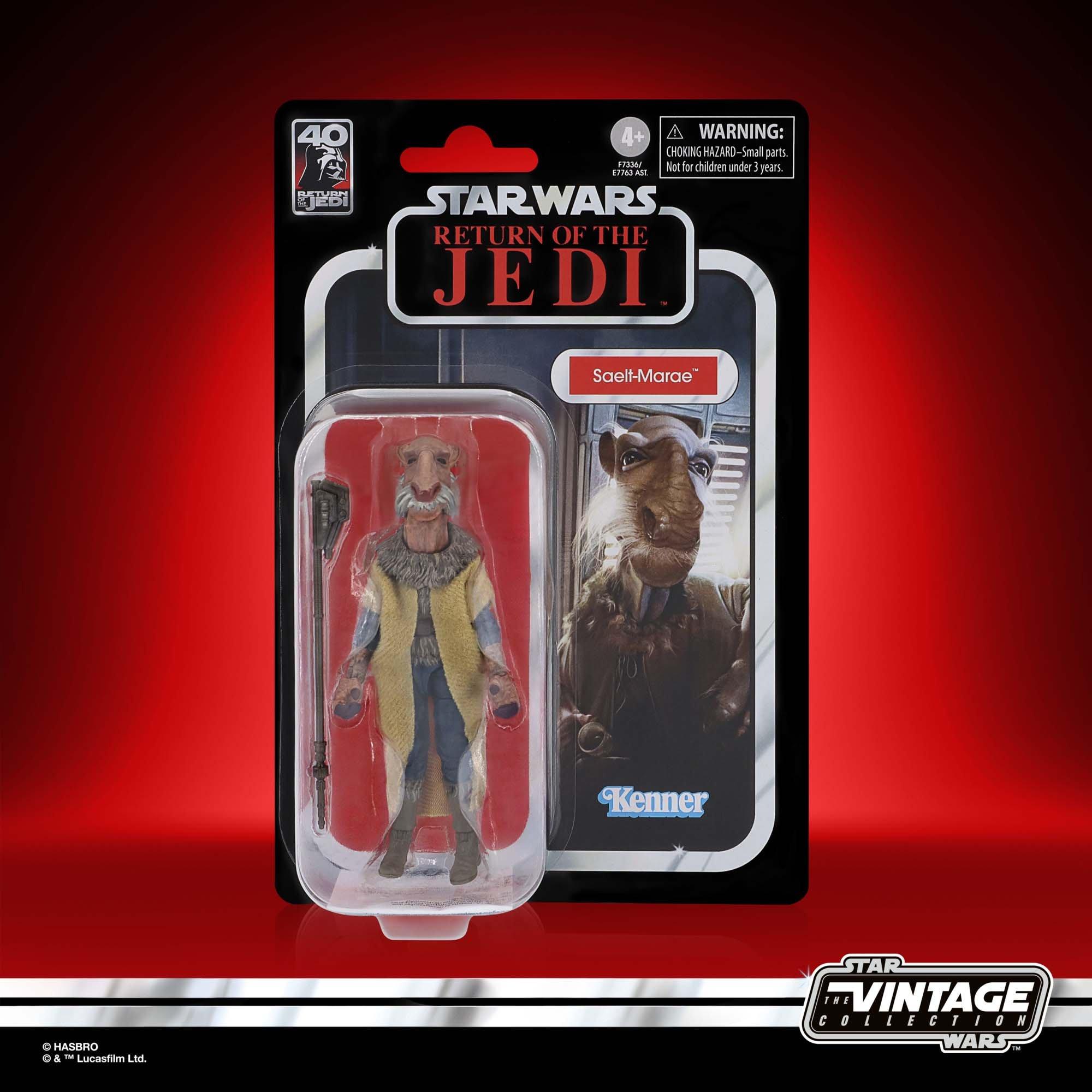 Star Wars Hasbro The Vintage Collection Return of the Jedi Ree