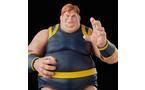 Hasbro Marvel Legends Series Marvel&#39;s The Blob 6-in Action Figure