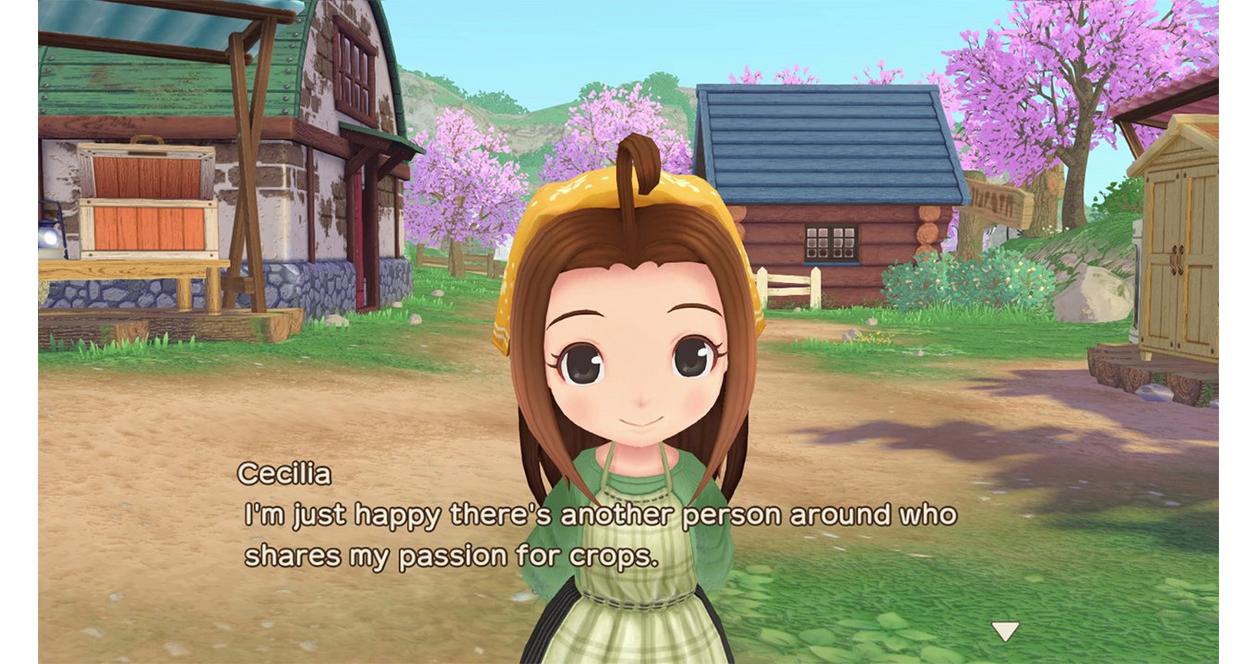 Story of Seasons: A Wonderful Life - Nintendo Switch