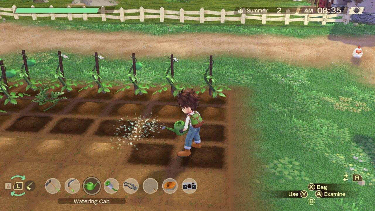 Harvest moon a store wonderful life switch