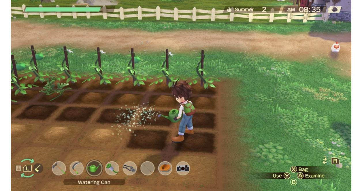 Story of Seasons: A Wonderful Life Premium Edition - Nintendo