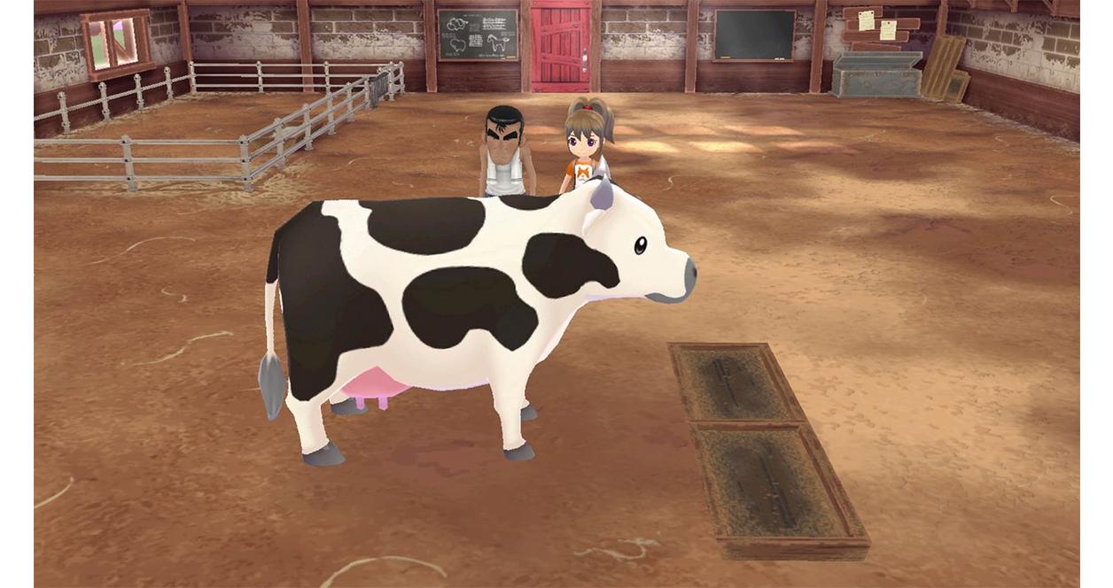 Story of Seasons: A Wonderful Life - Nintendo Switch